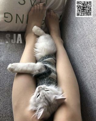 国产av日韩av欧美av东京热_超清韩国电影在线观看